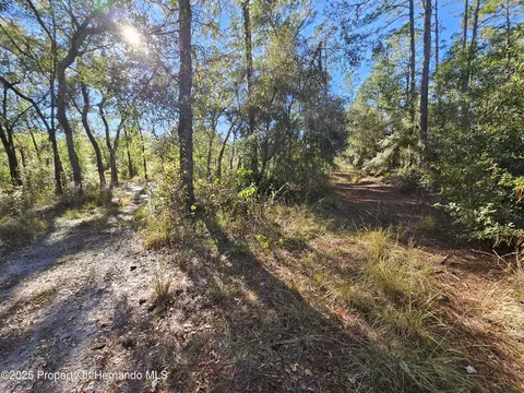 0 Berryhill Dr, Webster, FL 33597 photo 6