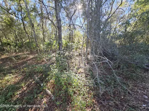 0 Berryhill Dr, Webster, FL 33597 photo 11