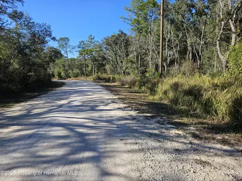 0 Berryhill Dr, Webster, FL 33597 photo 2