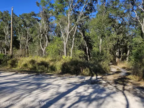 0 Berryhill Dr, Webster, FL 33597