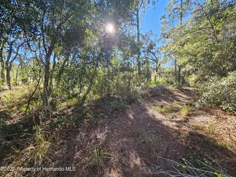 0 Berryhill Dr, Webster, FL 33597 photo 9