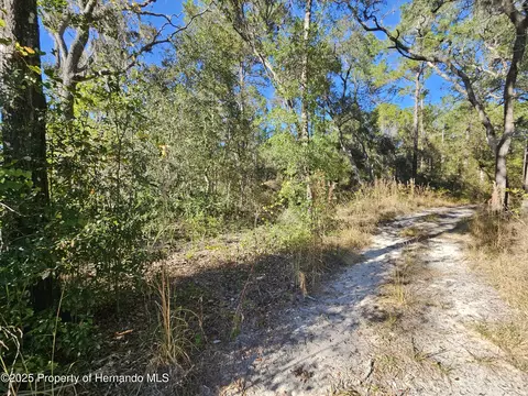 0 Berryhill Dr, Webster, FL 33597 photo 4