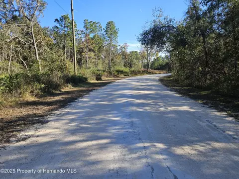 0 Berryhill Dr, Webster, FL 33597 photo 3
