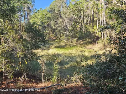 0 Berryhill Dr, Webster, FL 33597 photo 7