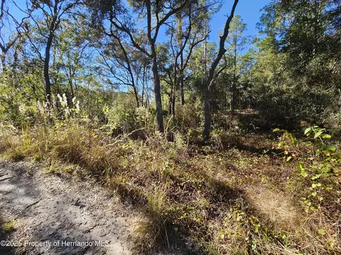 0 Berryhill Dr, Webster, FL 33597 photo 5