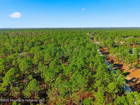 0 Raschke Run, Weeki Wachee, FL 34614