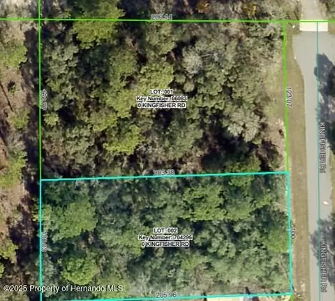 lot2 Kingfisher Rd, Weeki Wachee, FL 34614