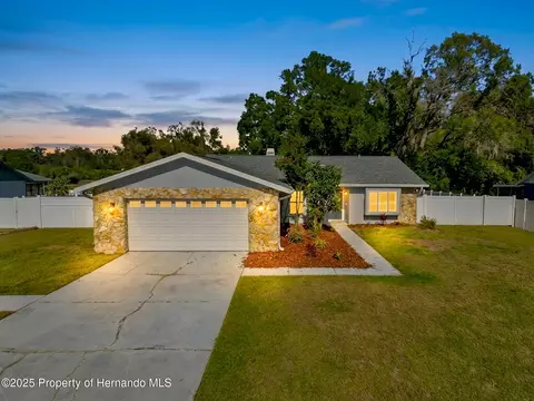 23015 Mayfair Rd, Land O'lakes, FL 34639