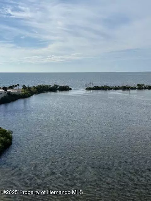 6035 Sea Ranch Dr #800, Hudson, FL 34667