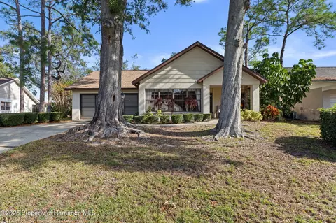 2221 Timber Lodge Ln, Spring Hill, FL 34606