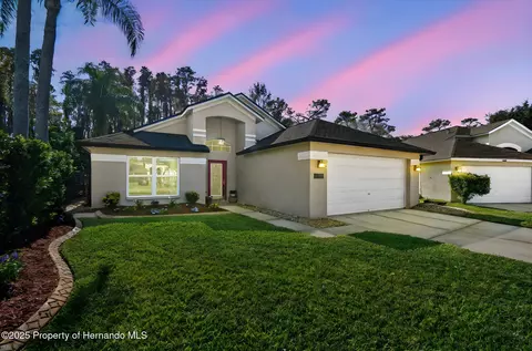 29228 Birds Eye Dr, Wesley Chapel, FL 33543
