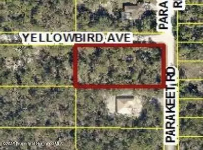 18131 Parakeet Rd, Brooksville, FL 34614