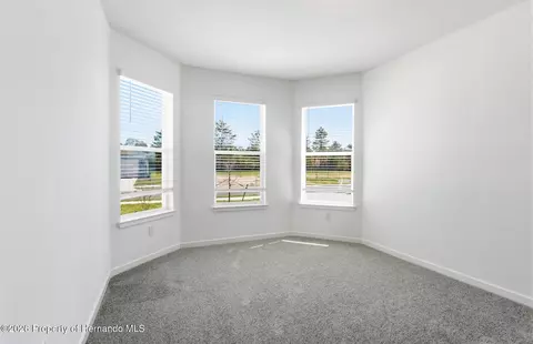 Other - 3709 Obsidian Dr, Spring Hill, FL 34609 photo 4 of 8