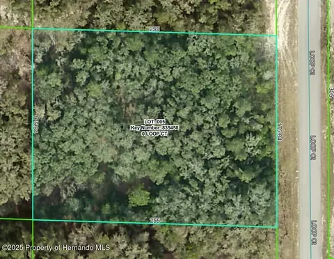 0 Loop Ct, Webster, FL 33597
