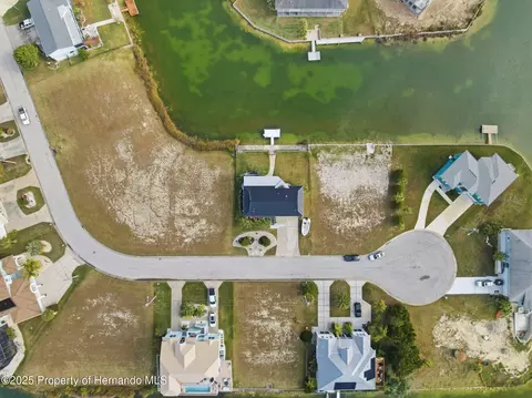 View/Area - 3366 Bluefish Drive Dr, Hernando Beach, FL 34607 photo 14 of 21