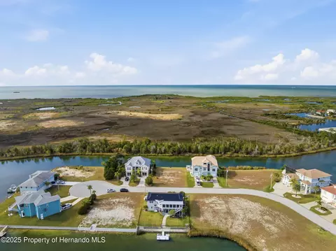 View/Area - 3366 Bluefish Drive Dr, Hernando Beach, FL 34607 photo 19 of 21