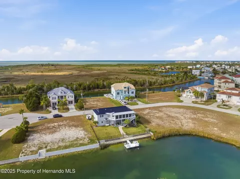 View/Area - 3366 Bluefish Drive Dr, Hernando Beach, FL 34607 photo 18 of 21