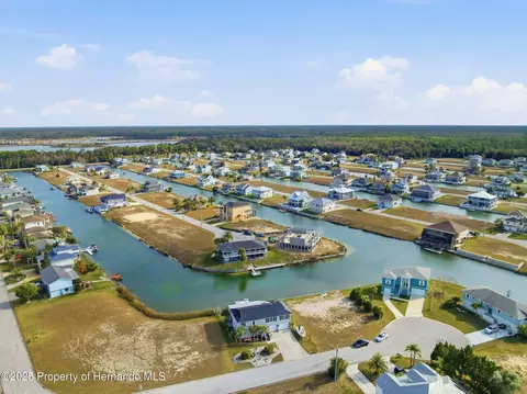 View/Area - 3366 Bluefish Drive Dr, Hernando Beach, FL 34607 photo 11 of 21