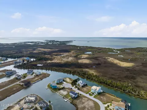 View/Area - 3366 Bluefish Drive Dr, Hernando Beach, FL 34607 photo 17 of 21