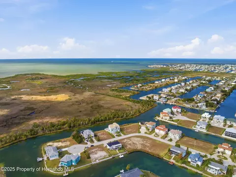 View/Area - 3366 Bluefish Drive Dr, Hernando Beach, FL 34607 photo 16 of 21
