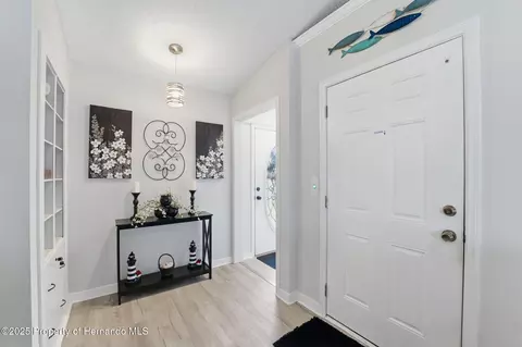 Entry Way - 3366 Bluefish Drive Dr, Hernando Beach, FL 34607 photo 3 of 4