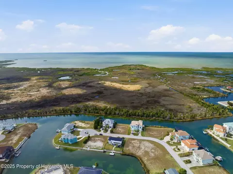 View/Area - 3366 Bluefish Drive Dr, Hernando Beach, FL 34607 photo 15 of 21