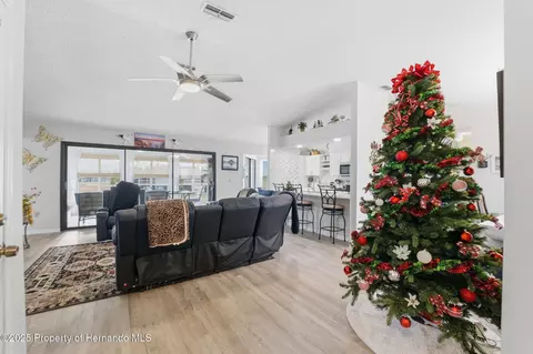 Other - 3366 Bluefish Drive Dr, Hernando Beach, FL 34607 photo 3 of 13