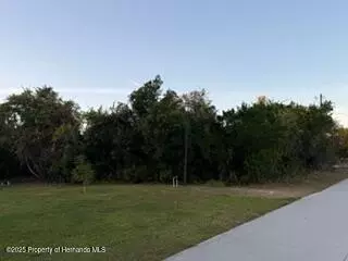 5301 Sandra Dr, Weeki Wachee, FL 34613