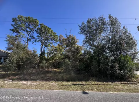 0 Matheson Ave, Spring Hill, FL 34608