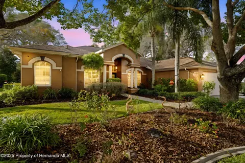 4567 Secretariat Run, Spring Hill, FL 34609