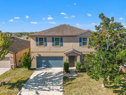 446 Alpine Thistle Dr, Brooksville, FL 34604