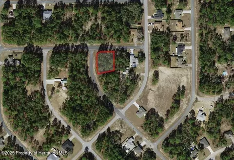 3662 W Galtonia Ln, Citrus Springs, FL 34433