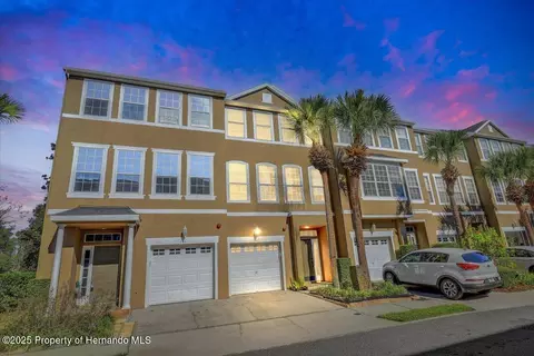 2965 Bayshore Pointe Dr, Tampa, FL 33611