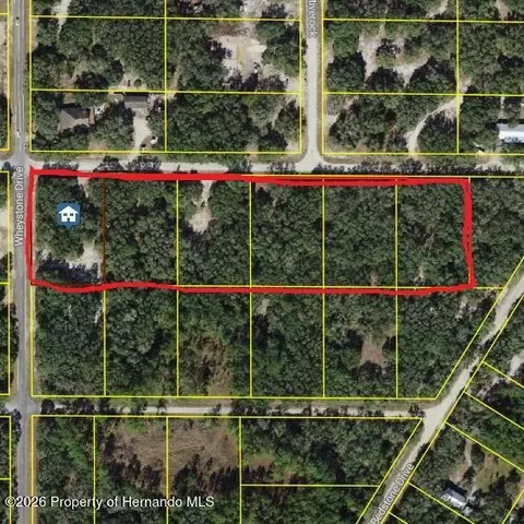 0 Wheystone Dr, Ridge Manor, FL 33597