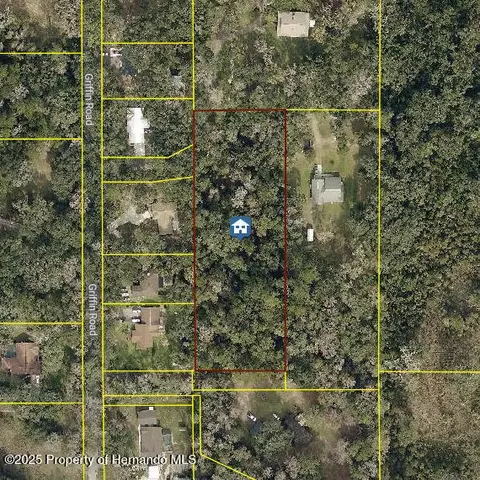 0 Griffin Rd, Brooksville, FL 34601