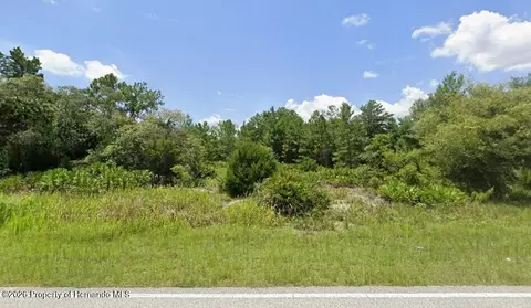10312 Fulton Ave, Weeki Wachee, FL 34613