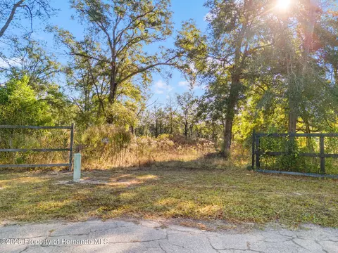 16800 Delft Pl, Spring Hillpasco, FL 34610