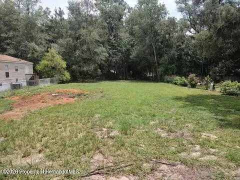 4175 S Illiana Ter, Inverness, FL 34452