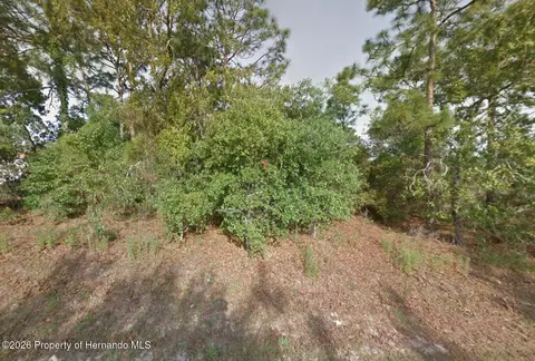 8181 Christopher Ln, Weeki Wachee, FL 34613