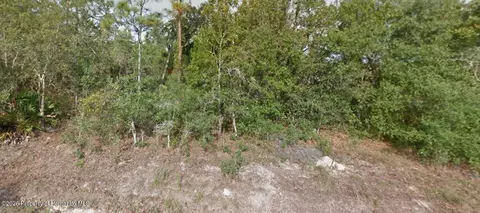 8191 Christopher Ln, Weeki Wachee, FL 34613