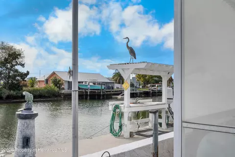View/Area - 3336 Gulfview Dr, Hernando Beach, FL 34607 photo 1 of 8