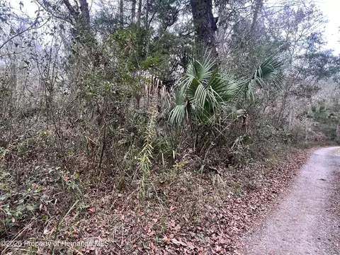 00 Budowski Rd, Brooksville, FL 34614