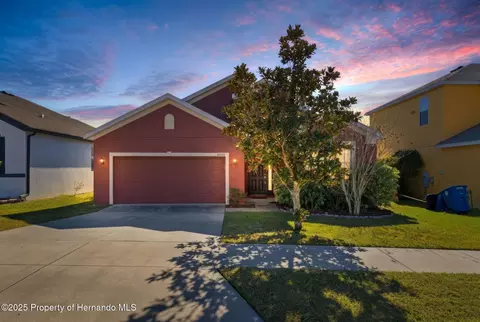 30726 Water Lily Dr, Brooksville, FL 34602