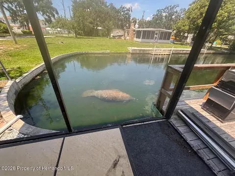 7196 Westwind St, Weeki Wachee, FL 34607 photo 7