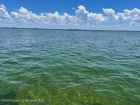 7196 Westwind St, Weeki Wachee, FL 34607 photo 15