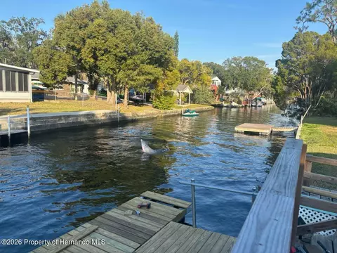 7196 Westwind St, Weeki Wachee, FL 34607 photo 9