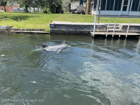 7196 Westwind St, Weeki Wachee, FL 34607 photo 5
