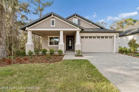 19431 Forest Garden Ct, Brooksville, FL 34601