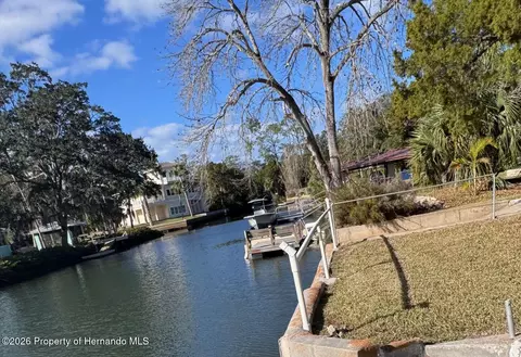 6022 Palm Creek Dr, Weeki Wachee, FL 34607 photo 4