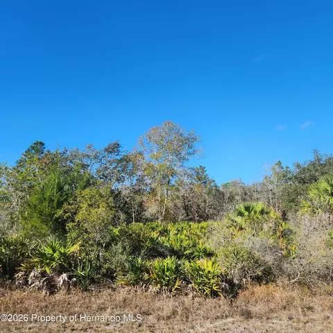 0 Quiet Rd, Weeki Wachee, FL 34614